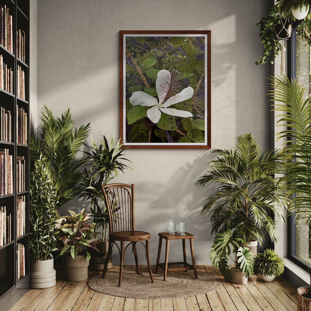 warm-room-filled-with-tropical-plants (3).jpg