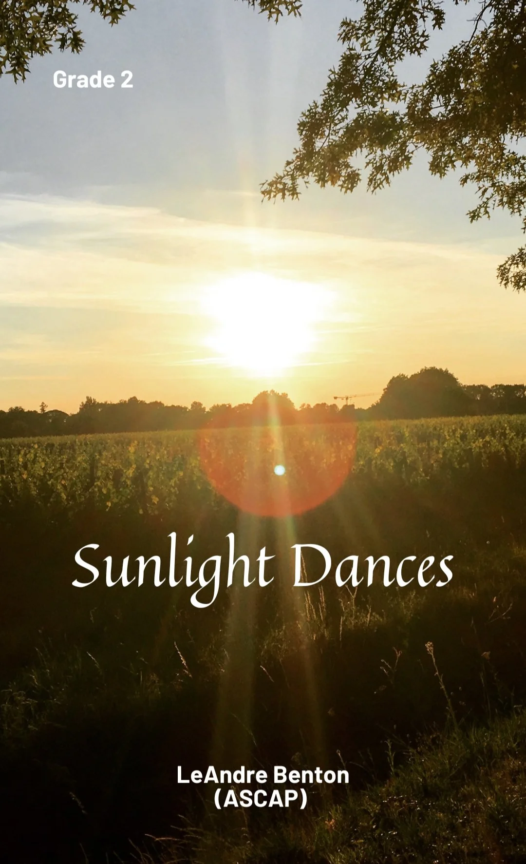 Sunlight Dances.jpg