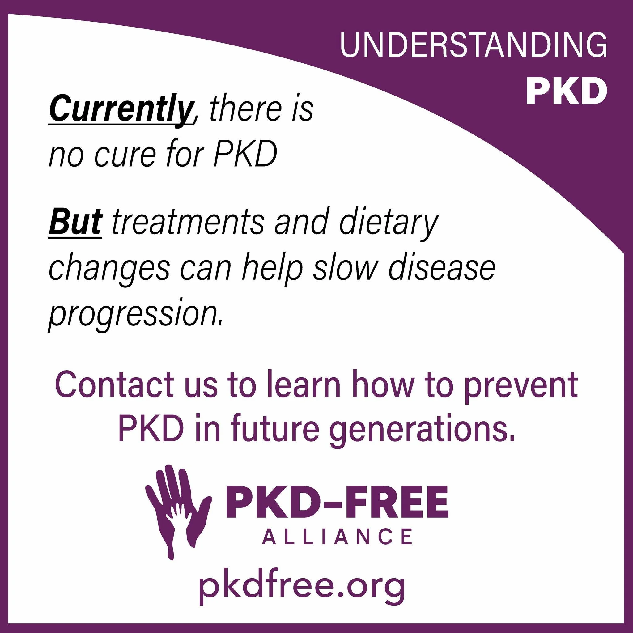 To date, almost twenty families have welcomed PKD-Free Babies into the world through the use of assisted reproductive technology supported by our grant funding and discounts. Visit pkdfree.org or email helpingfamilies@pkdfree.org to learn how we can 