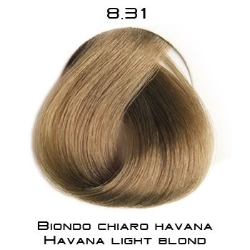 Bild 163.jpeg