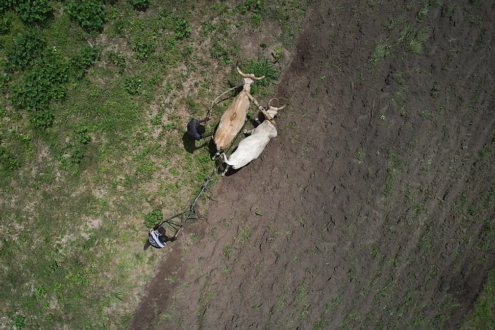 DJI_0168-.jpg
