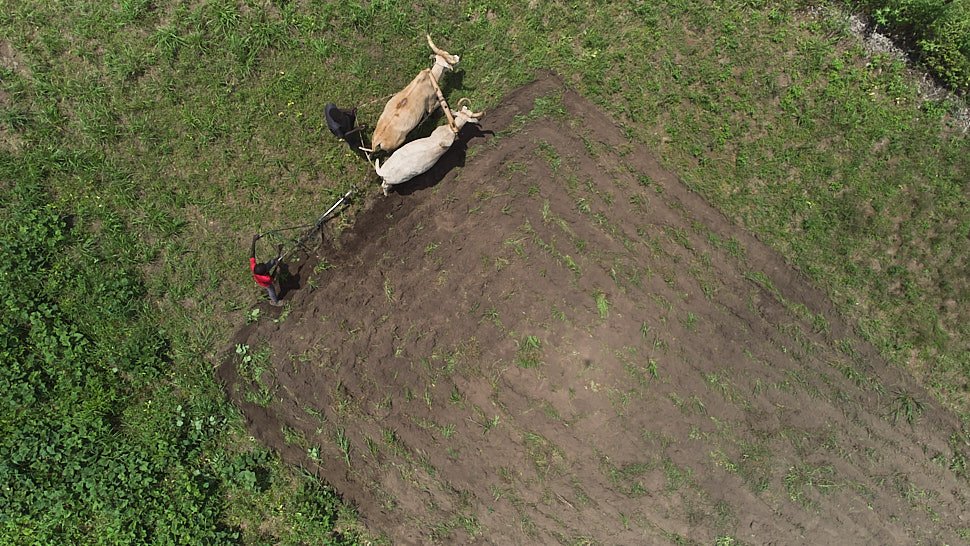 DJI_0169-.jpg
