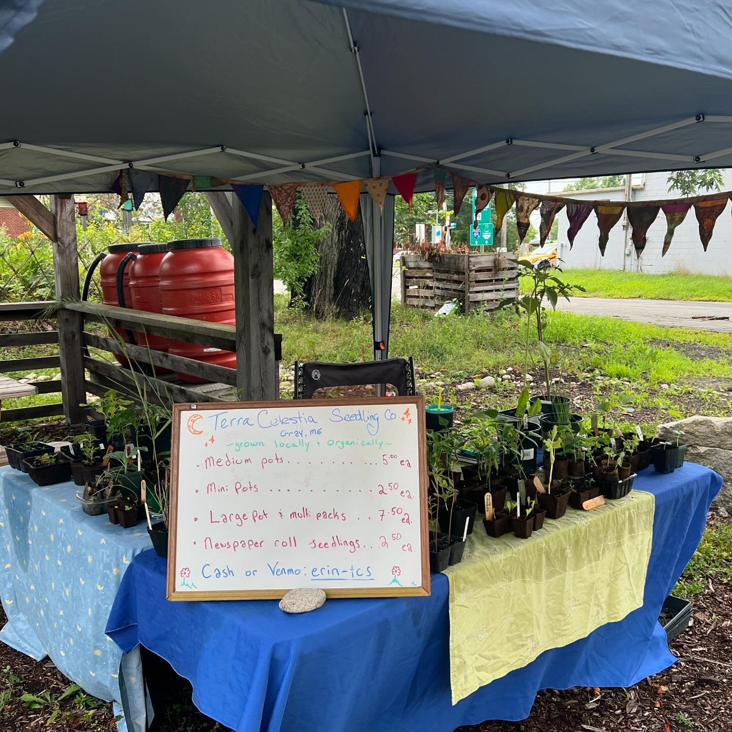 A rainy day at the market with friends that cleared into sun π§οΈπ©‍πΎ βοΈ it’s good to be back to my Sunday shenanigans after last weeks visit to the Acton Renaissance fair #organicgardening #farmersmarket #southernmaine