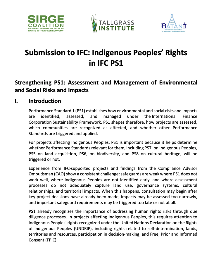 Indigenous Organizations’ Recommendations to Strengthen IFC Performance Standard 1