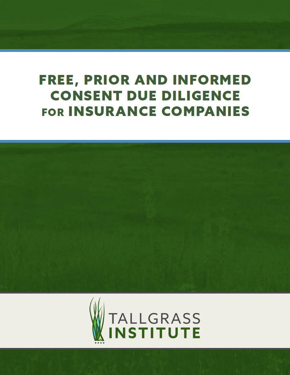 cover_InsuranceFPICGuide.png