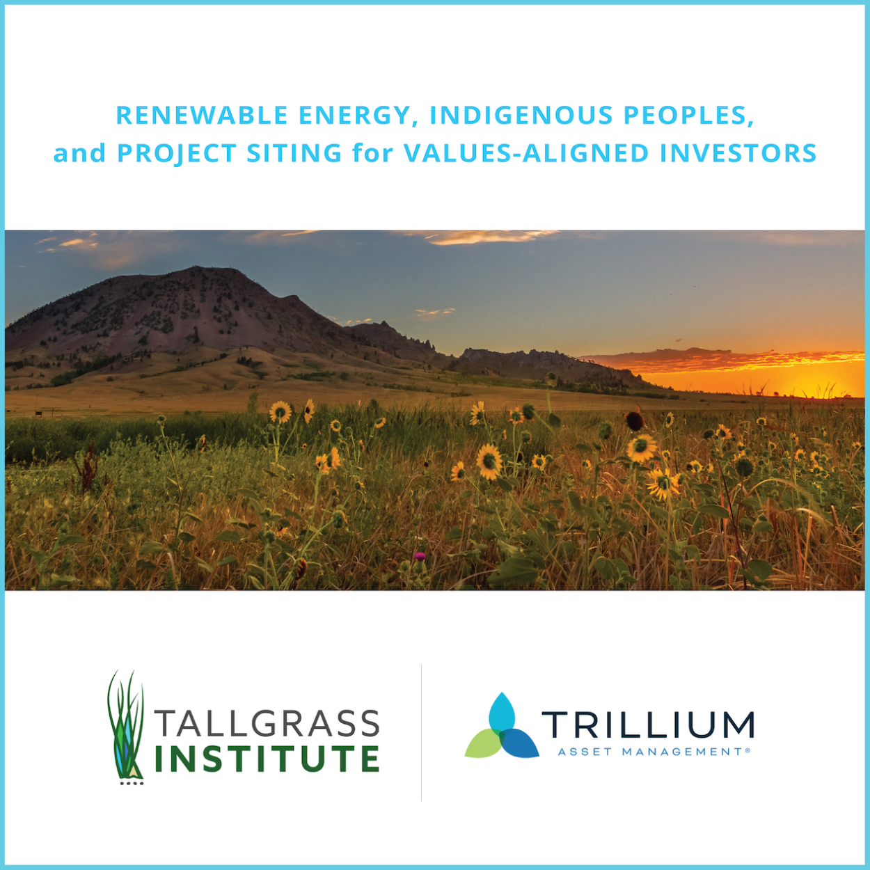 Renewable Energy, Indigenous Peoples, and Project Siting for Values-Aligned Investors