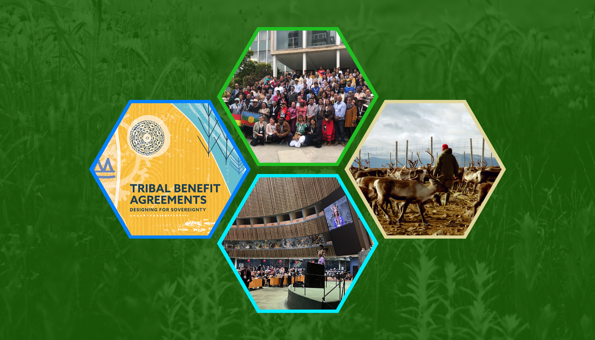 Tallgrass Institute Participates among 300+ Organizations in #GiveNative 2025