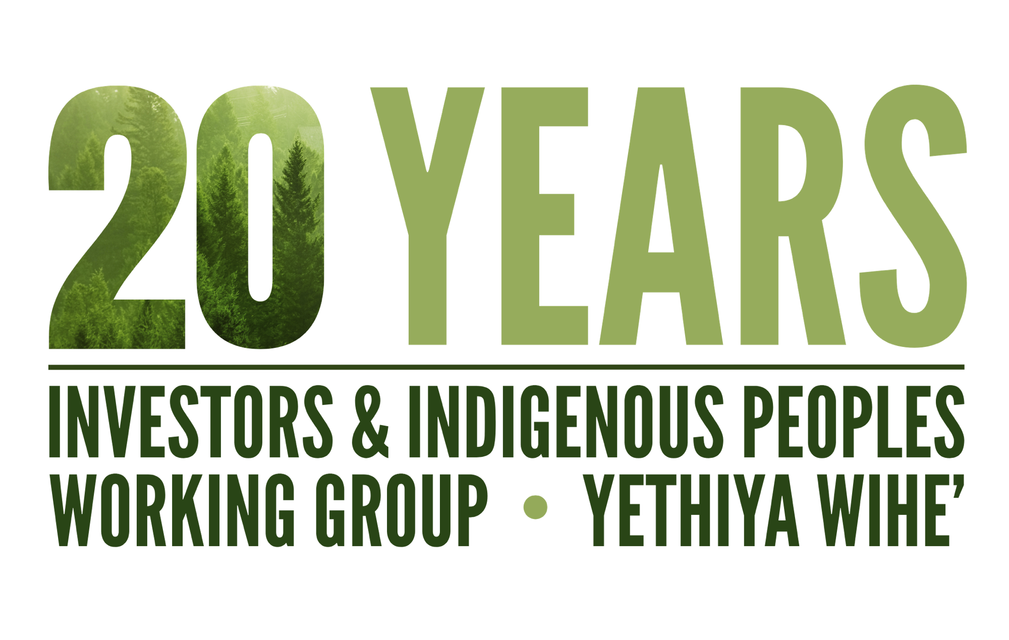 IIPWG September 2026 Newsletter and 20th Anniversary