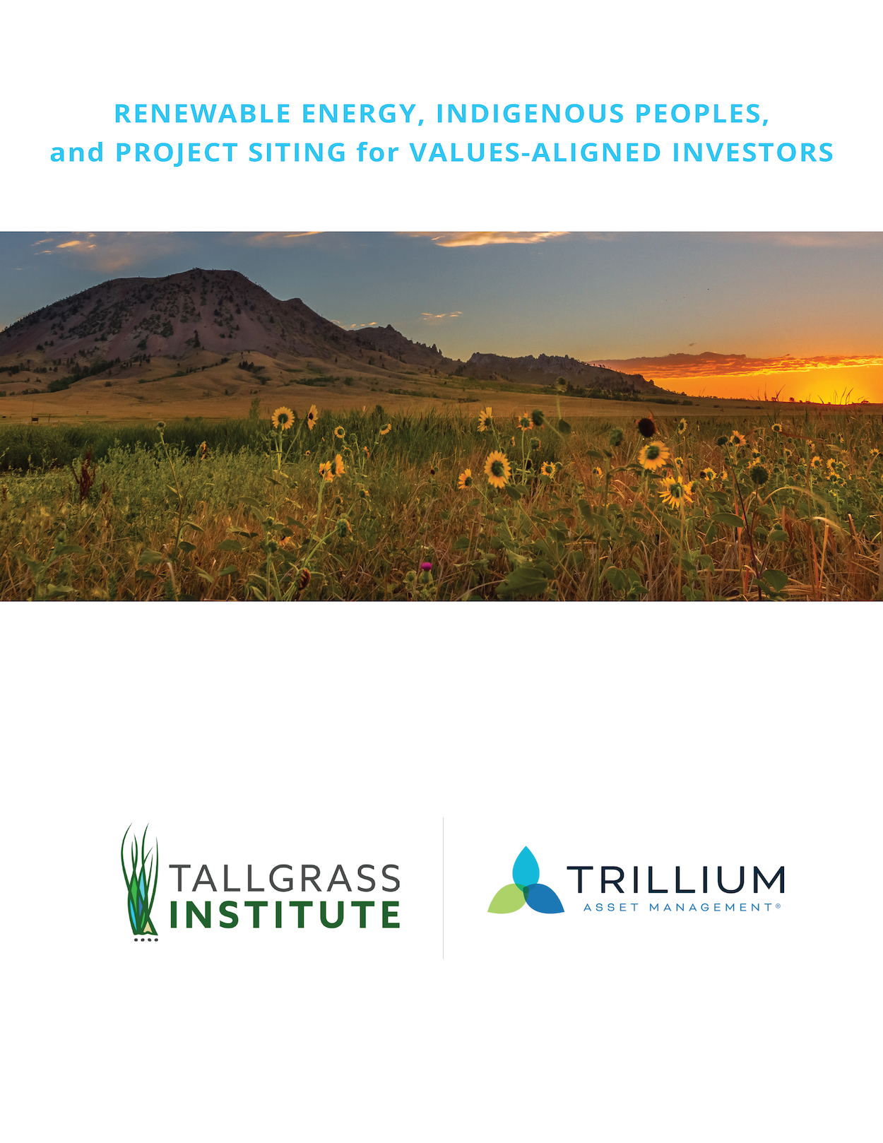 graphic_TallgrassSitingPapaer_Cover.png