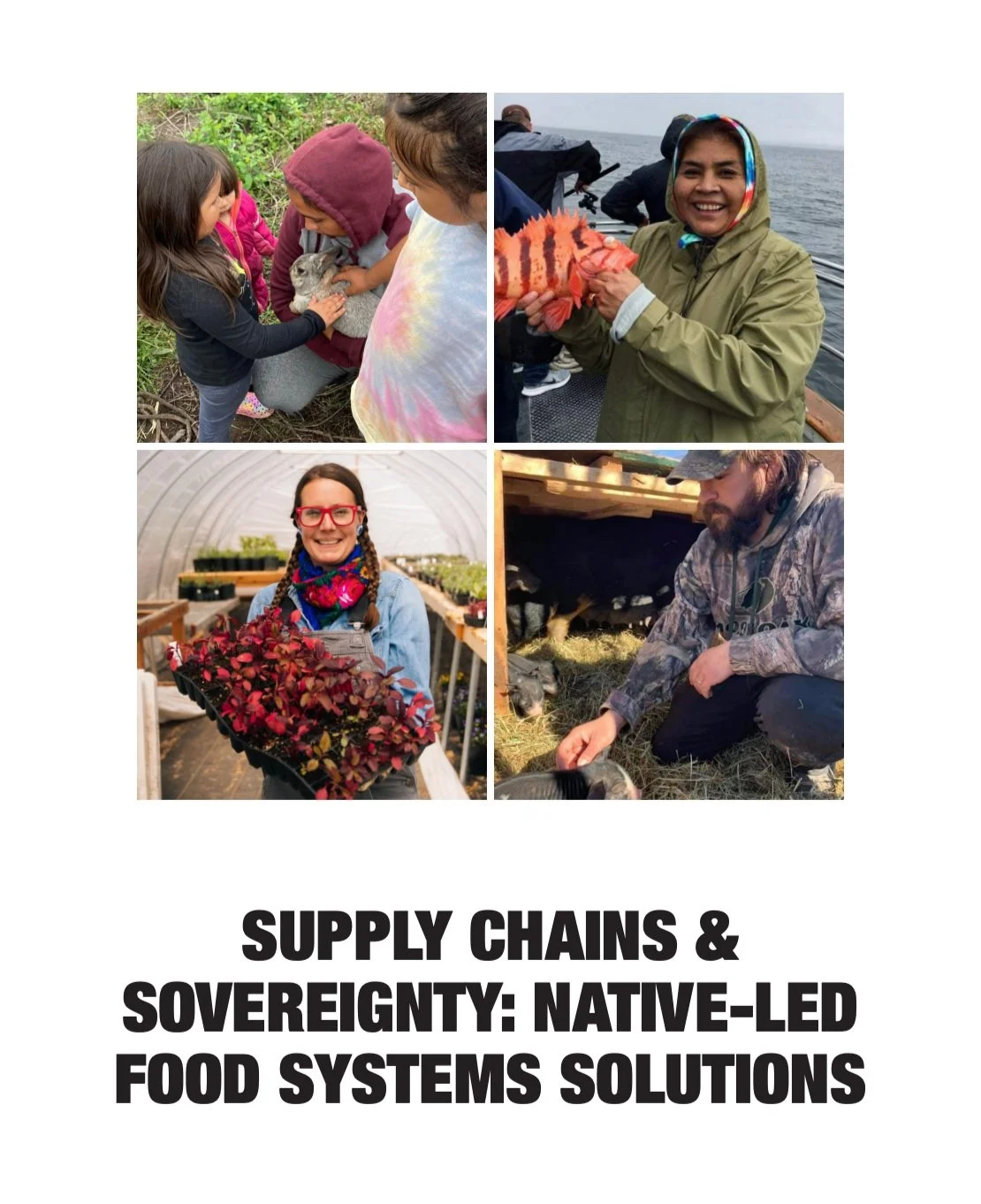 cover_FoodSupplyChainsPaper.jpg