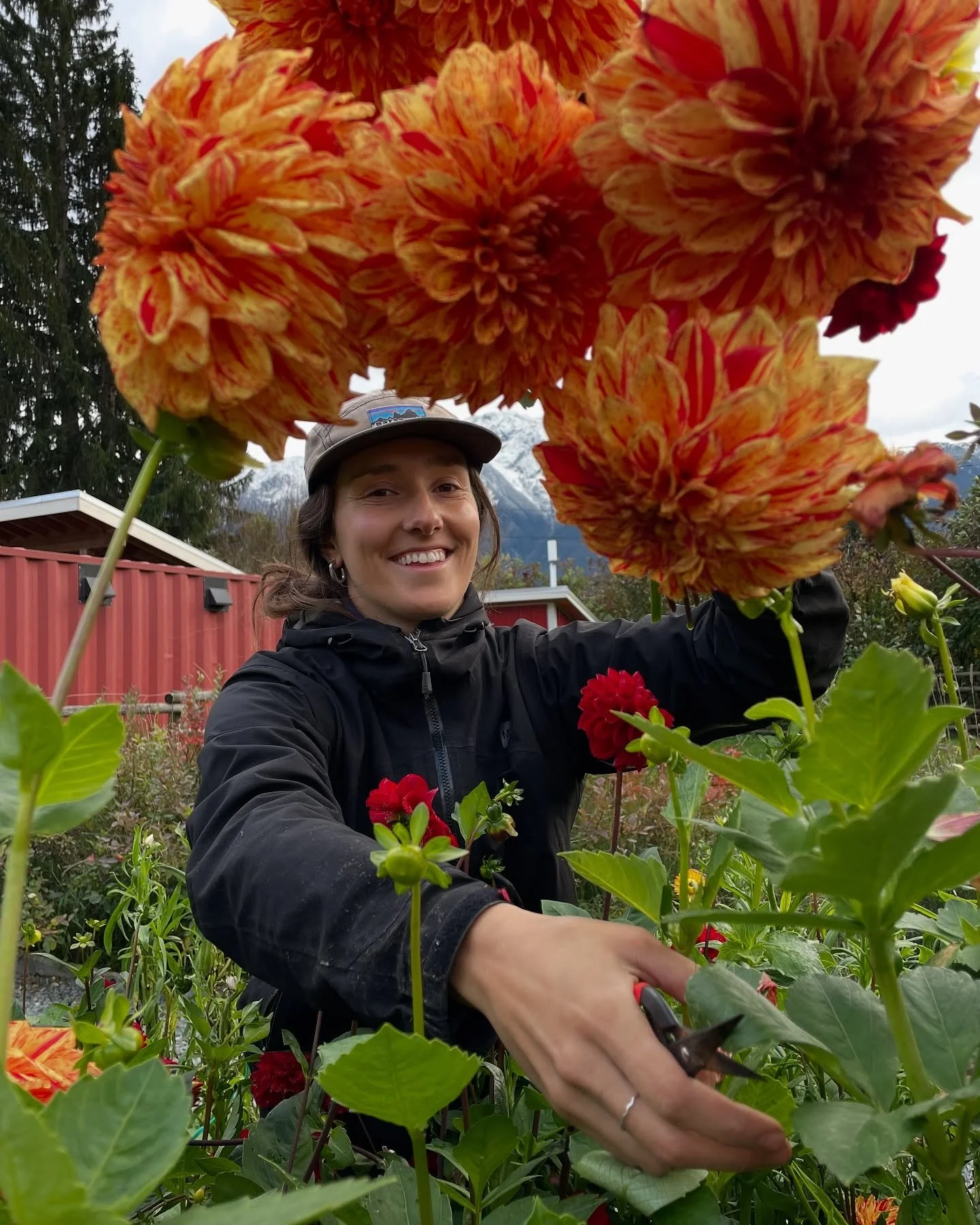 thankful that the garden is still GIVING 💅🏼🌼 See you tomorrow at @northarmfarm 
.
.
.
#thanksgiving #northarmfarm #northarmfarms #sustainabledecor #falldecor