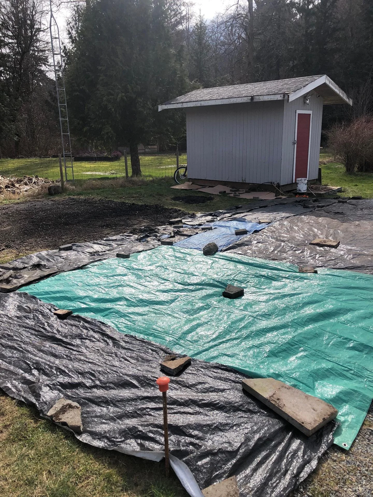 From a grassy lawn to now a sleeping farm field, our Squamish plot has completed its first season! 
Throughout the year we tried to capture the transformation of this piece of land to both show the journey of a farmer’s field but also to show
