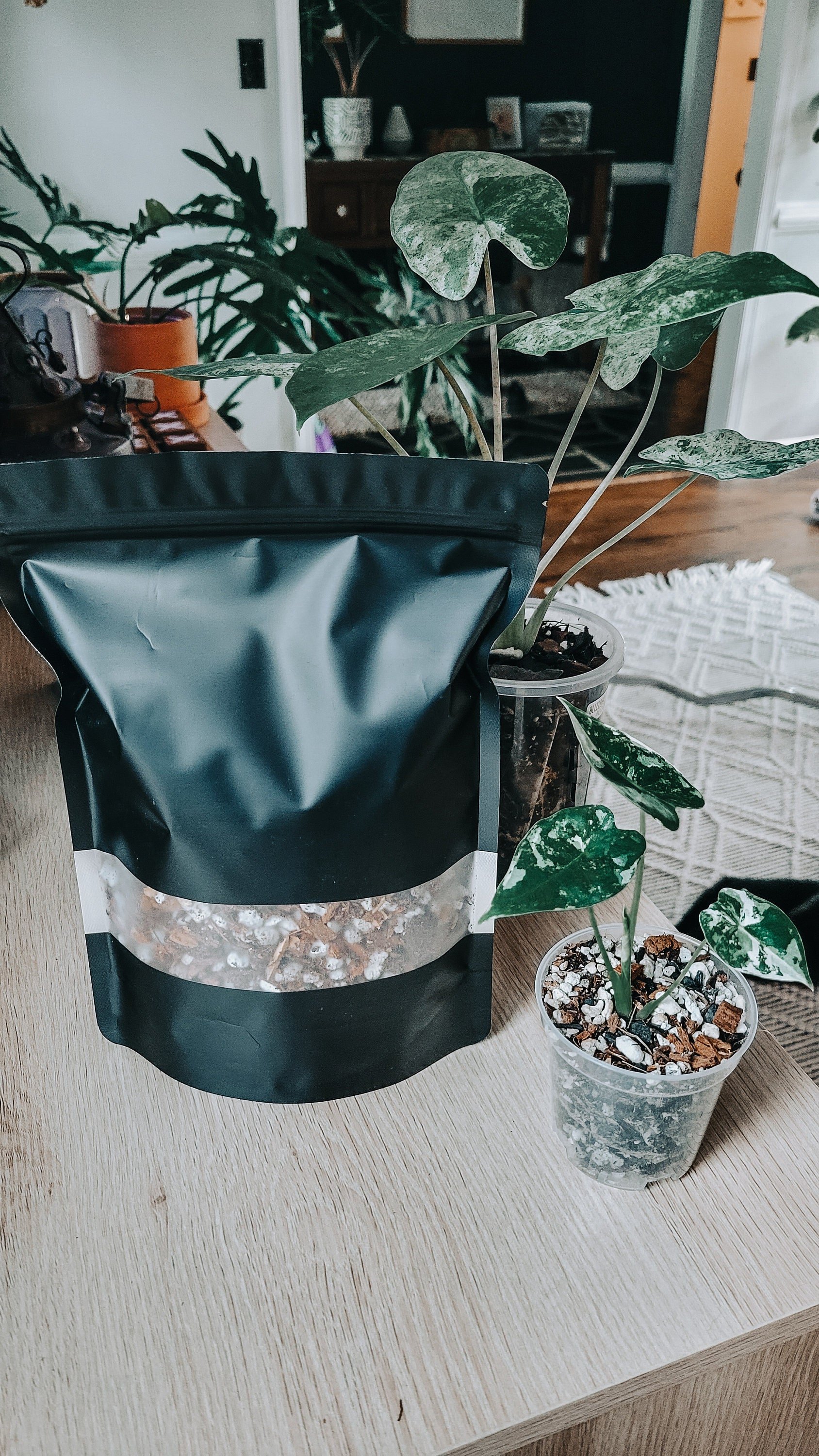 https://i.etsystatic.com/38735508/r/il/f850d2/5335516190/il_fullxfull.5335516190_lb8x.jpg