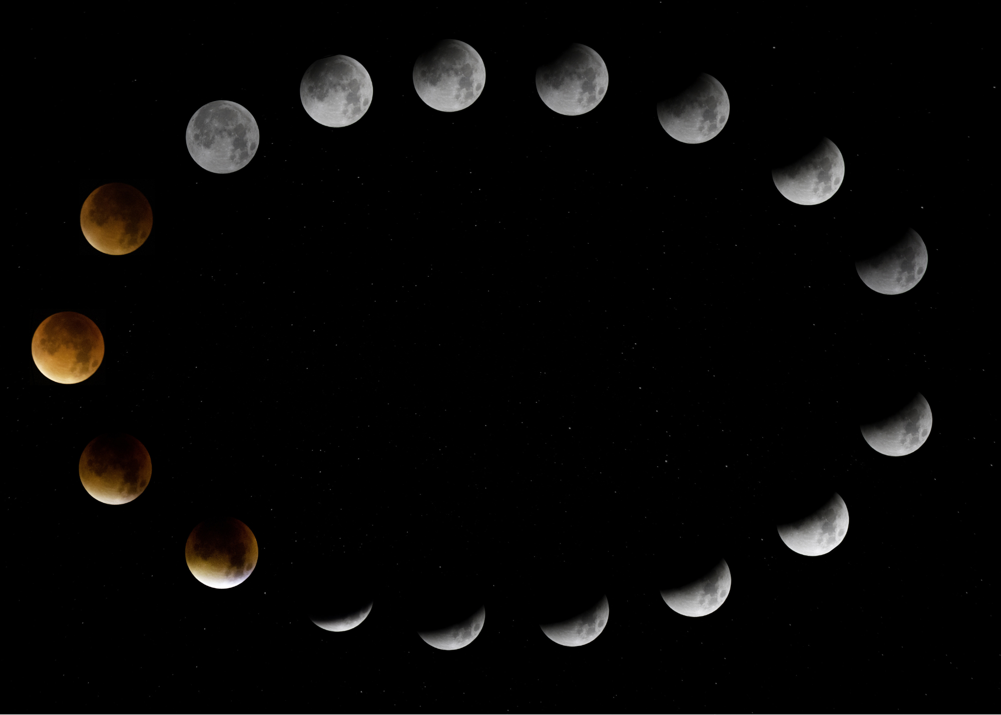 moon cycle.png