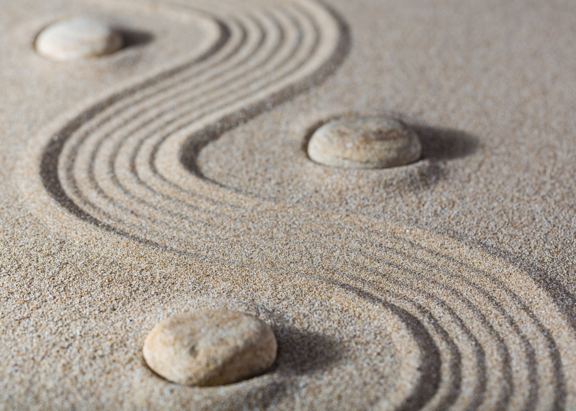 Zen life path.png