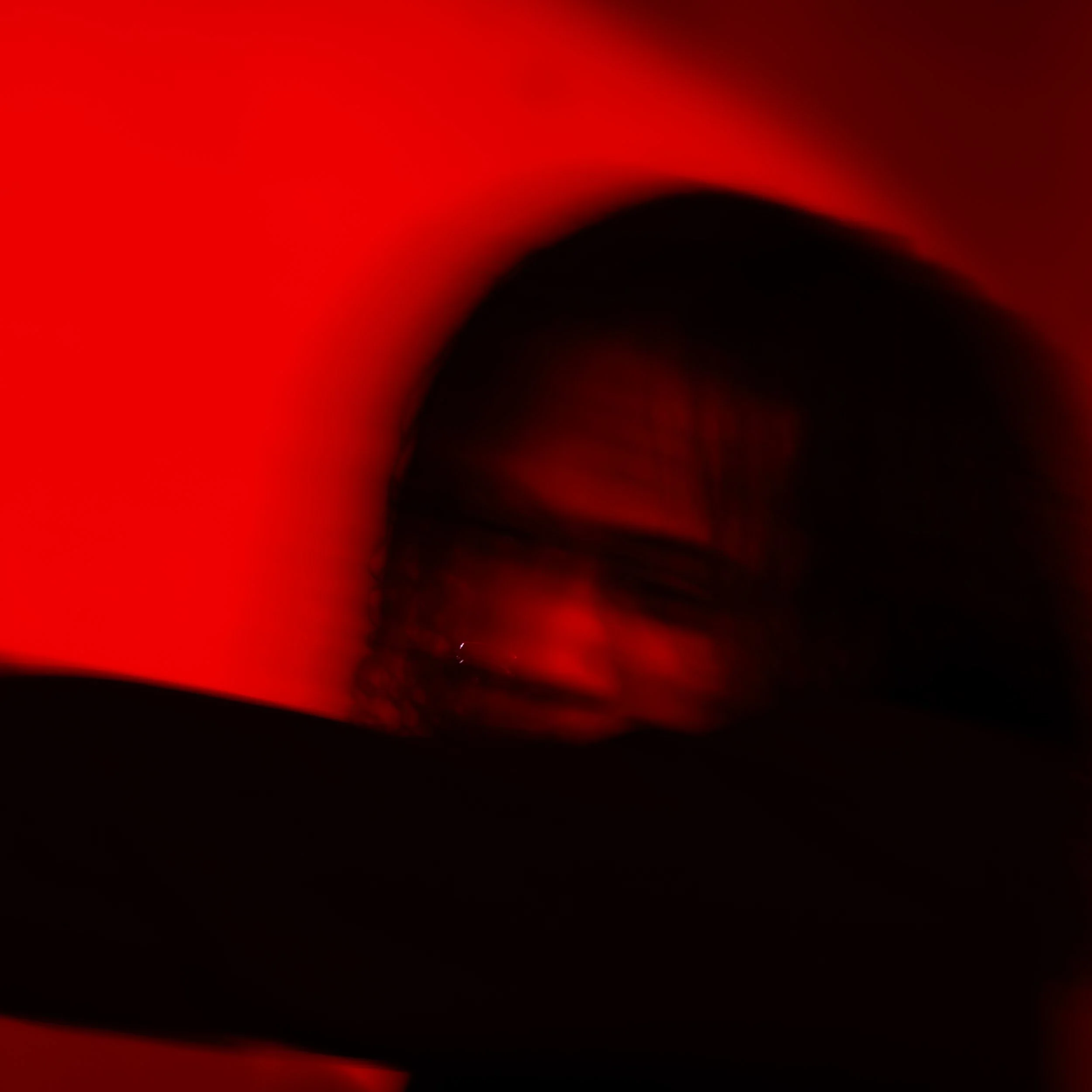 thewant-portrait-26.jpg