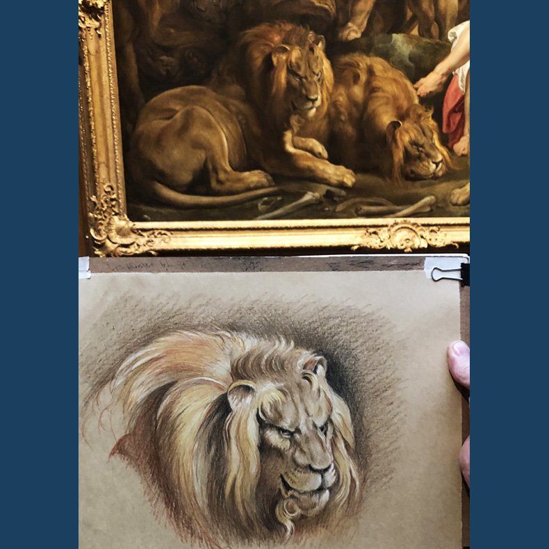 RubensLion.jpg