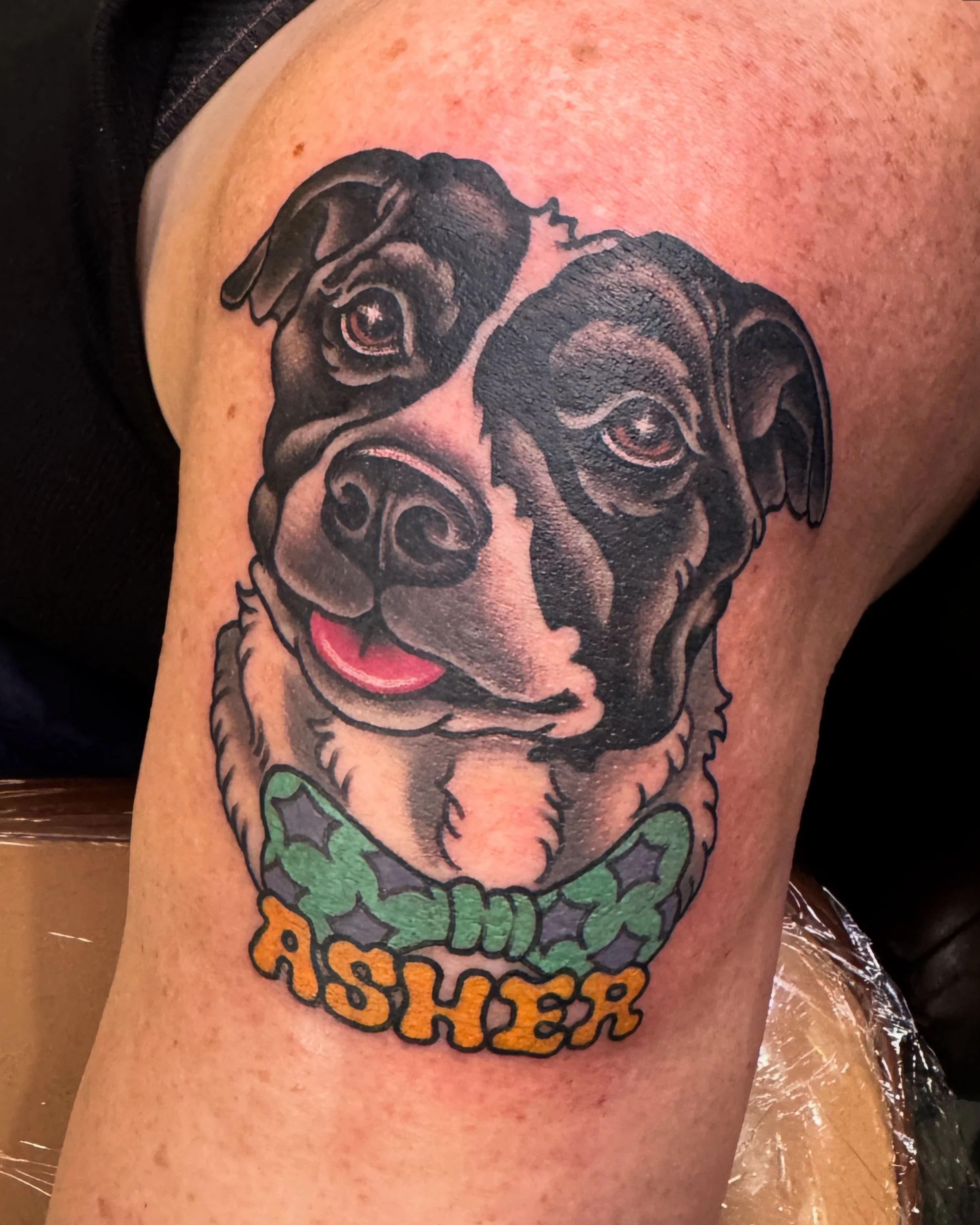 Tattoo of a dog's face with a green and black patterned collar and the name 'ASHER' in orange capital letters beneath.