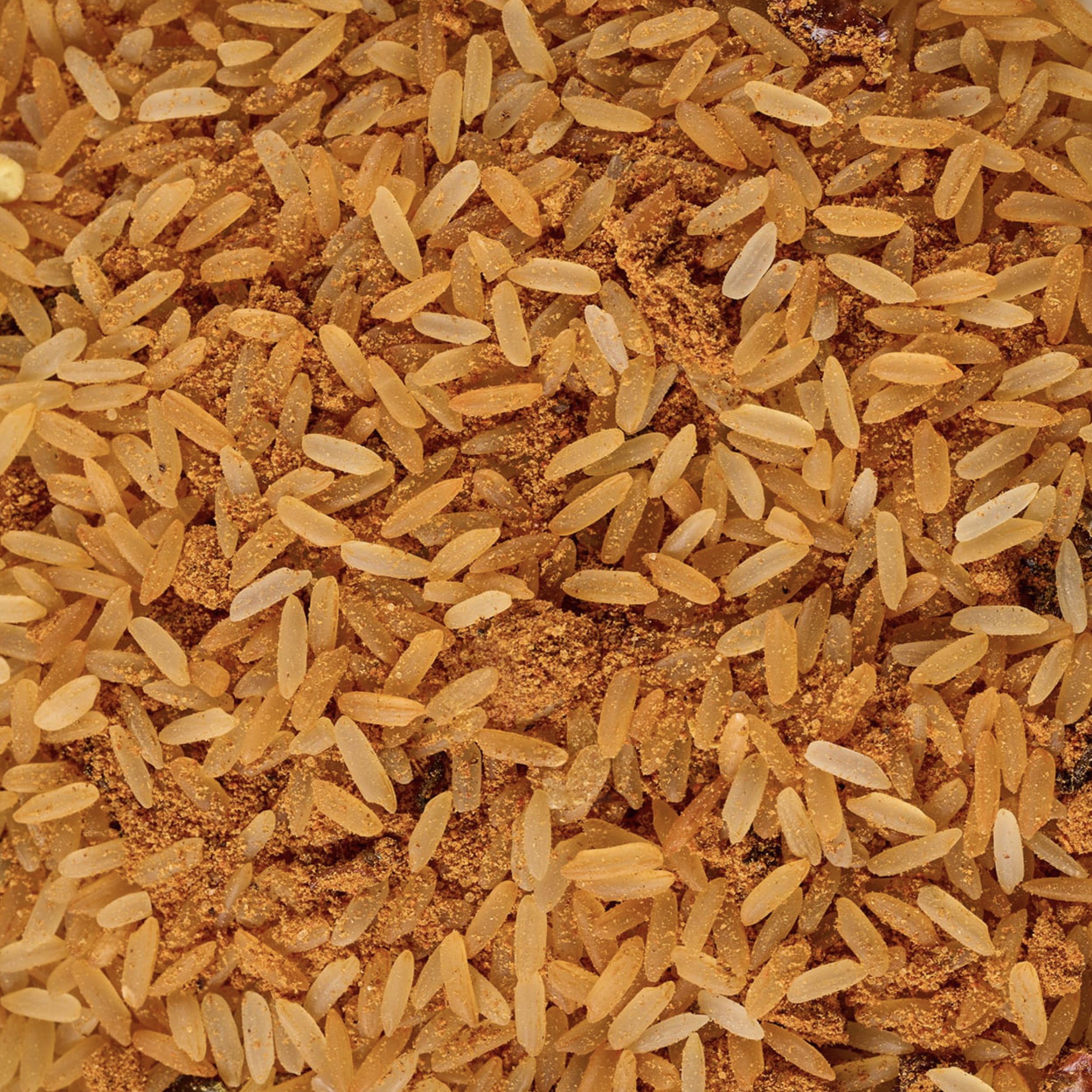 Jambalaya.png