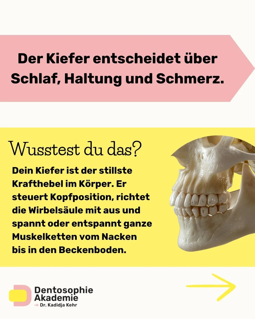 Hier geht&rsquo;s um mehr als Z&auml;hne: Der Kiefer entscheidet mit &uuml;ber Schlaf, Haltung und Schmerz.

Warum? Weil Atmen &bull; Schlucken &bull; Kauen ein vernetztes Steuerzentrum sind. 🔄
Wenn diese drei Funktionen stabil sind, stabilisieren s