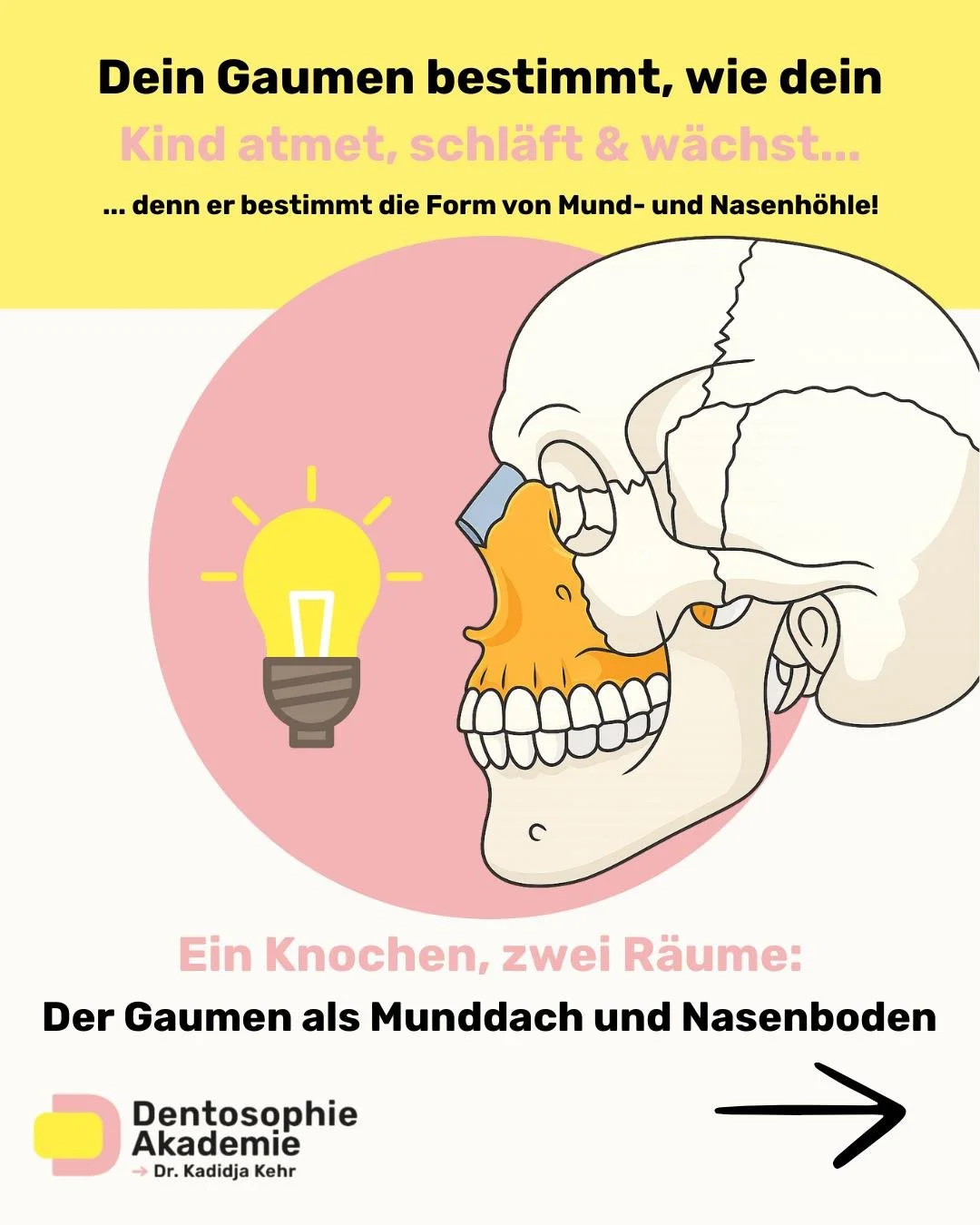 🚨 Viele Eltern wissen nicht, wie entscheidend der Gaumen f&uuml;r die gesamte Entwicklung ihres Kindes ist.
Nicht nur f&uuml;r die Z&auml;hne &ndash; sondern f&uuml;r Atmung, Schlaf, Verhalten und Wachstum.

👉🏼 Der Gaumen ist nicht einfach nur &bd