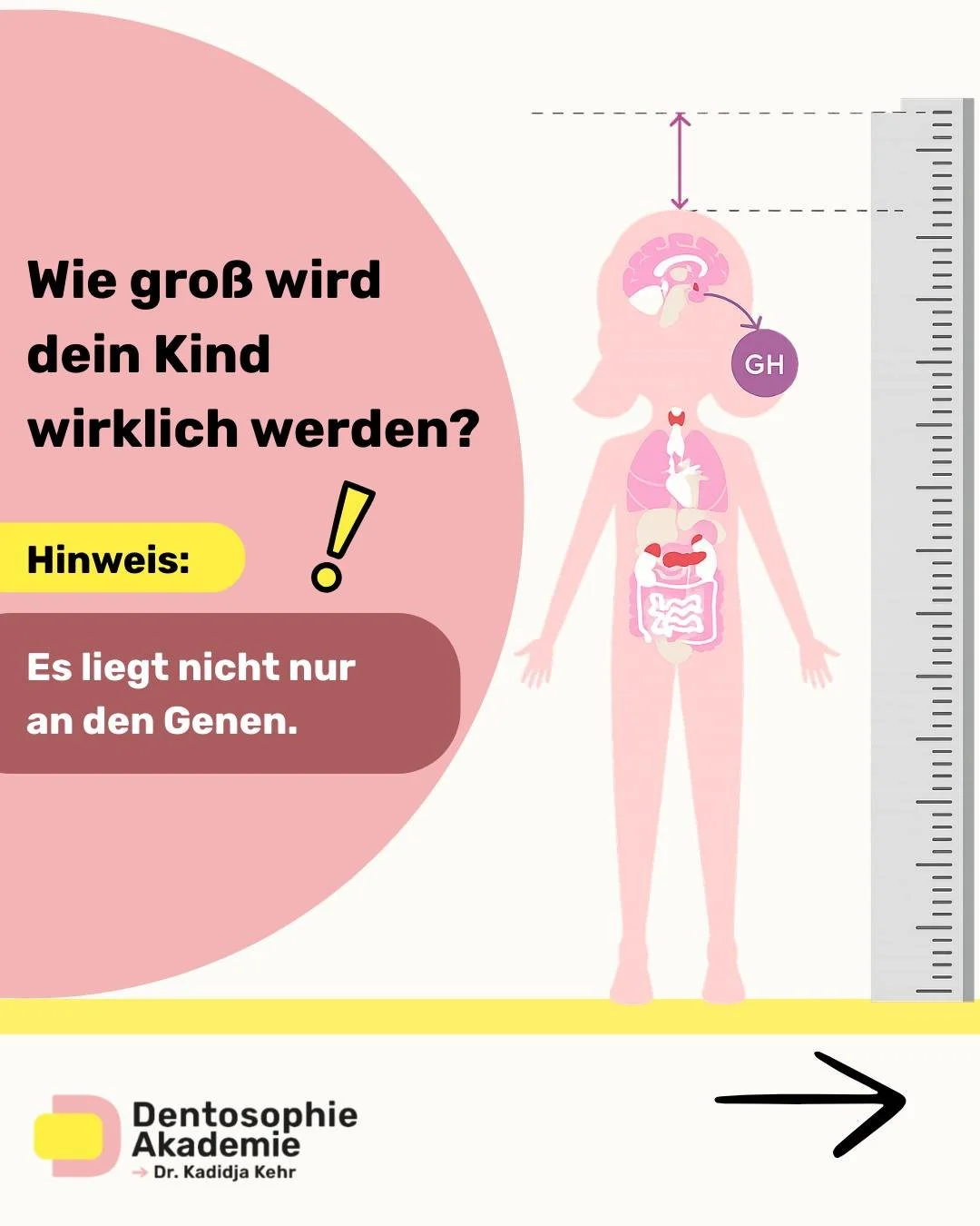 Wie gro&szlig; wird dein Kind einmal wirklich?
Der entscheidende Faktor ist nicht nur die Genetik.

Viele Kinder haben das genetische Potenzial zu wachsen &ndash; aber dieses Potenzial entfaltet sich nur, wenn der K&ouml;rper die richtigen Bedingunge