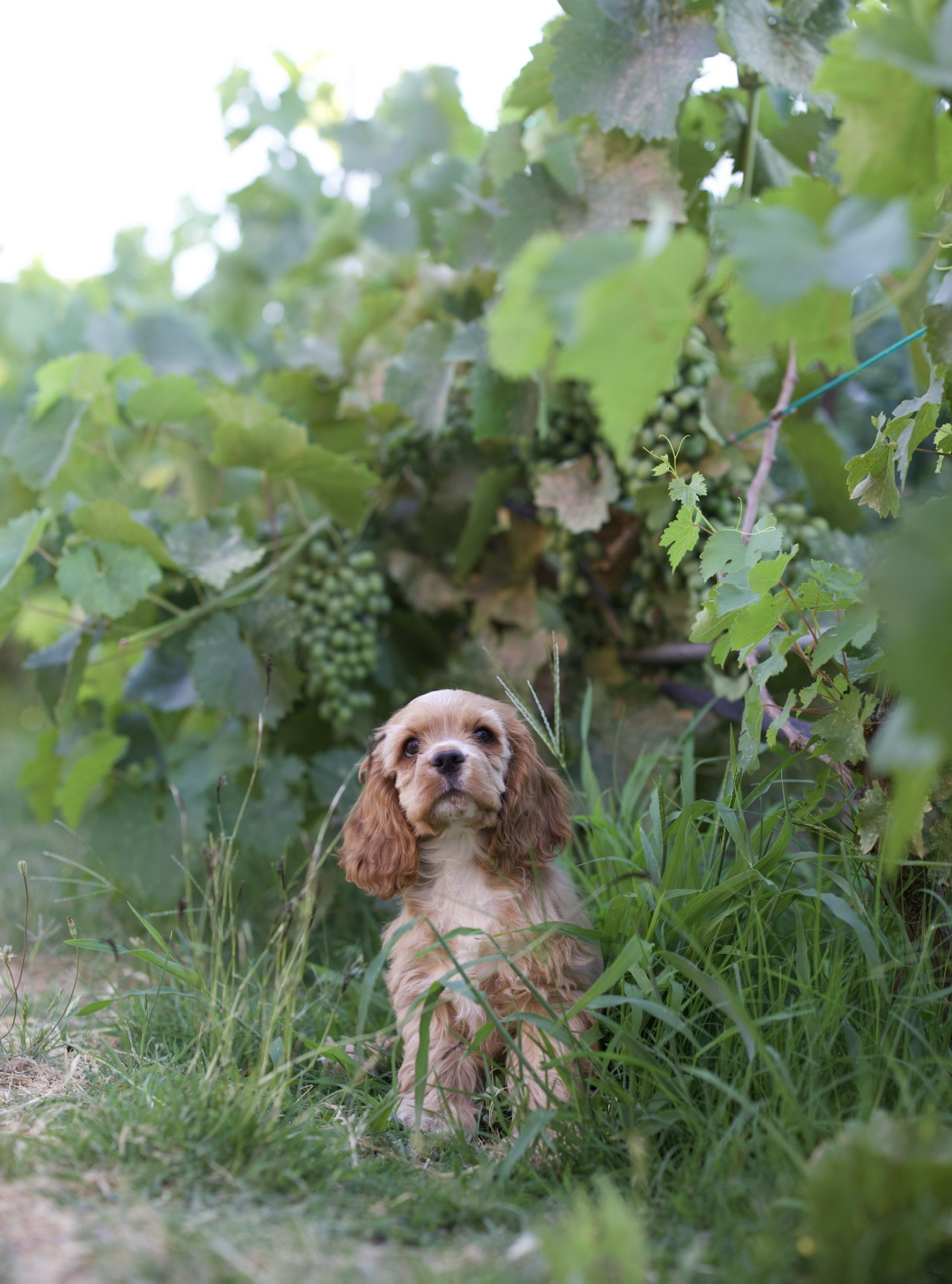 View recent photos 2.png