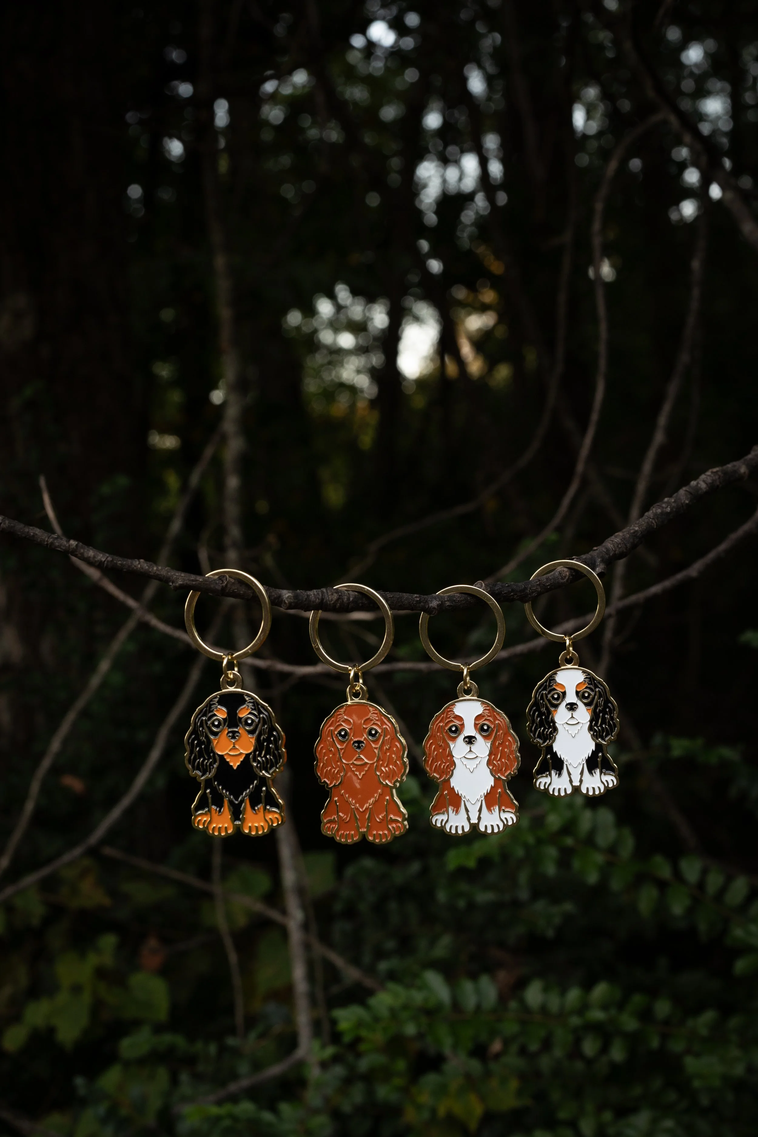 Cavalier Bundle