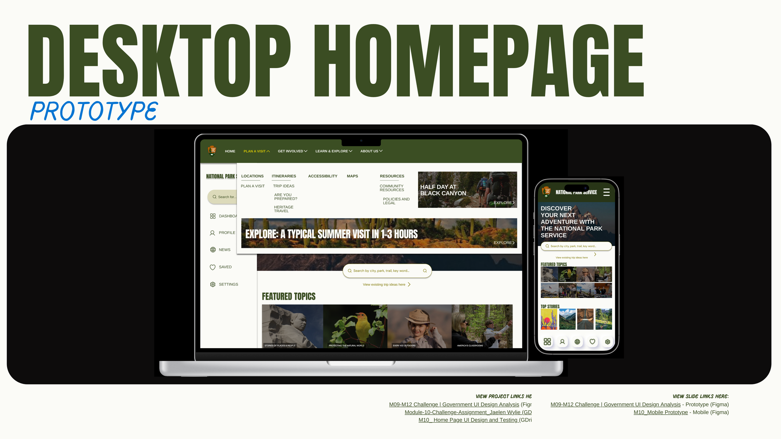 M08-M12 Challenge  Government UI Design Analysis_Jaelen Wylie 29.png