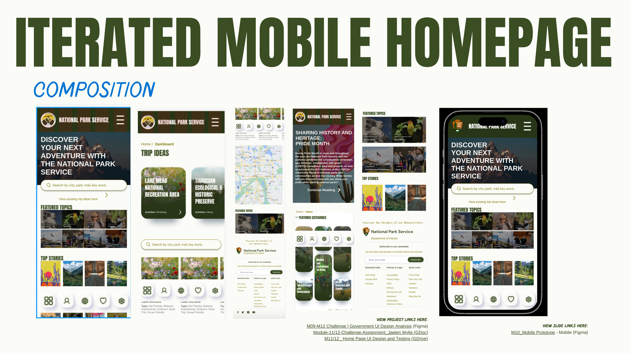 M08-M12 Challenge  Government UI Design Analysis_Jaelen Wylie 35.png