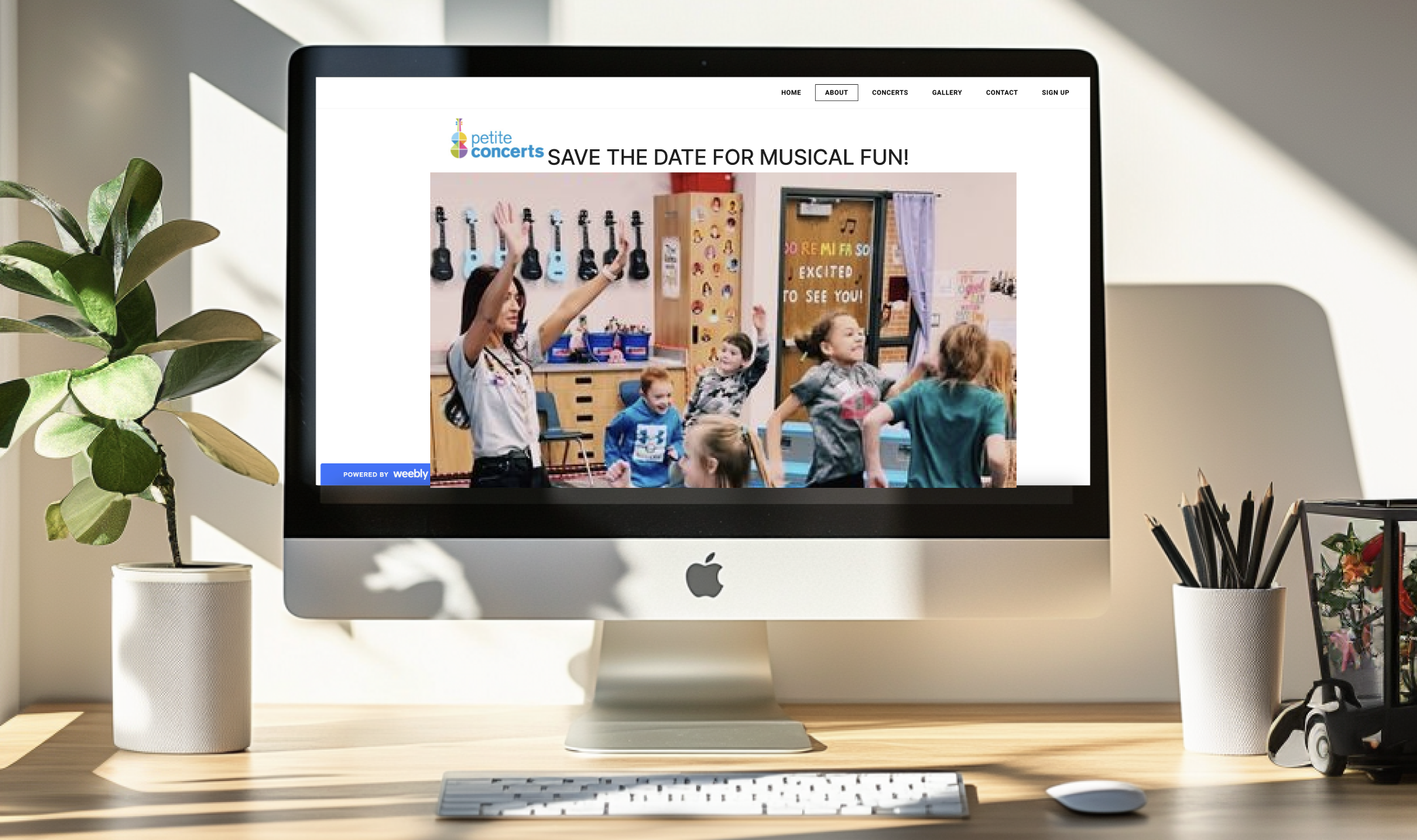 Screenshot 2024-09-16 at 8.11.33 PM.png