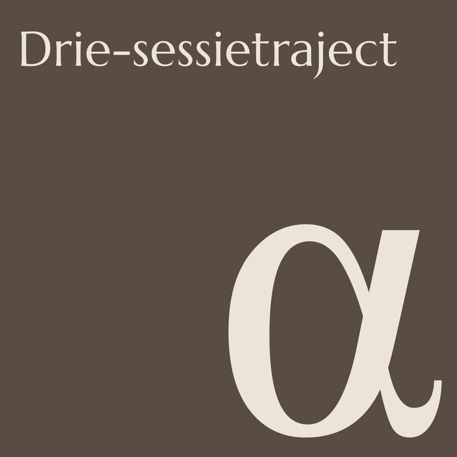 Drie-sessietraject.jpg