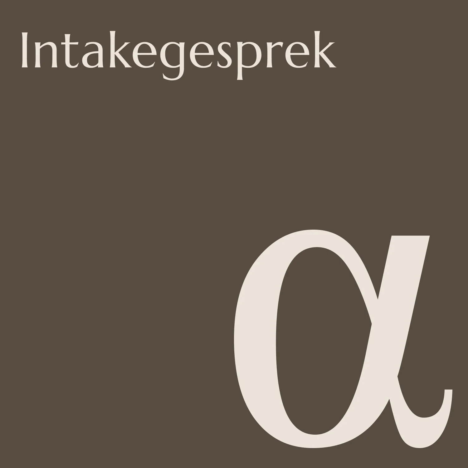 intakegesprek.jpg