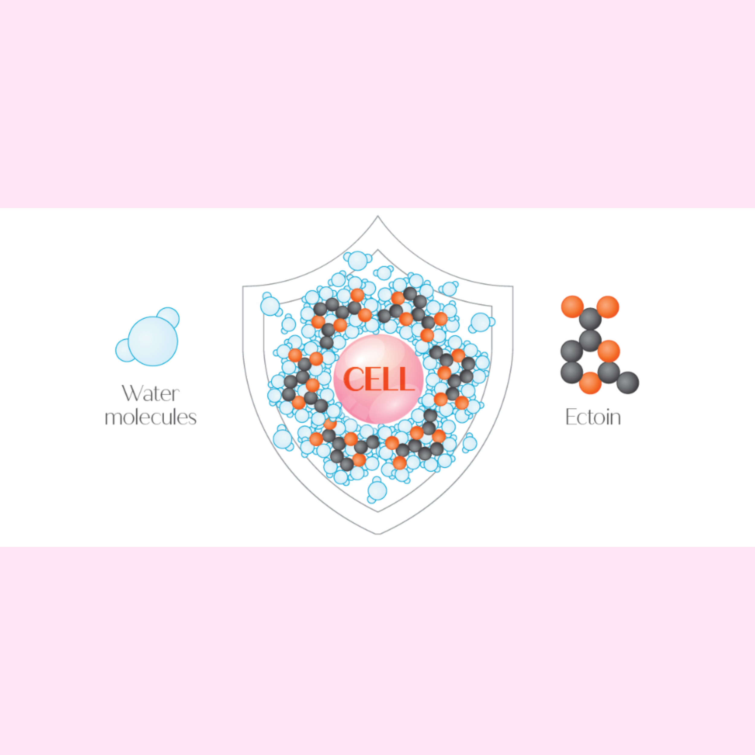 OXYGENCEUTICALS.png