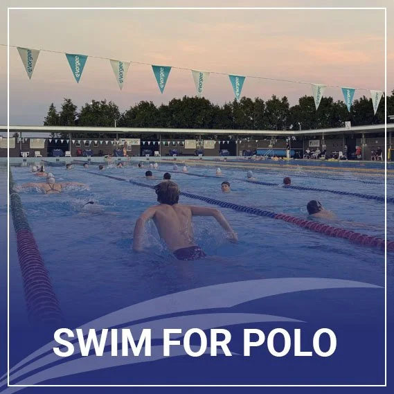 Swim for Polo Logo.jpg