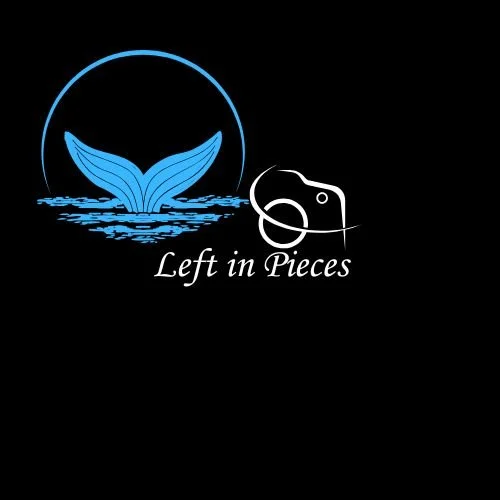 Left in Pieces, a romantic dramedy screenplay