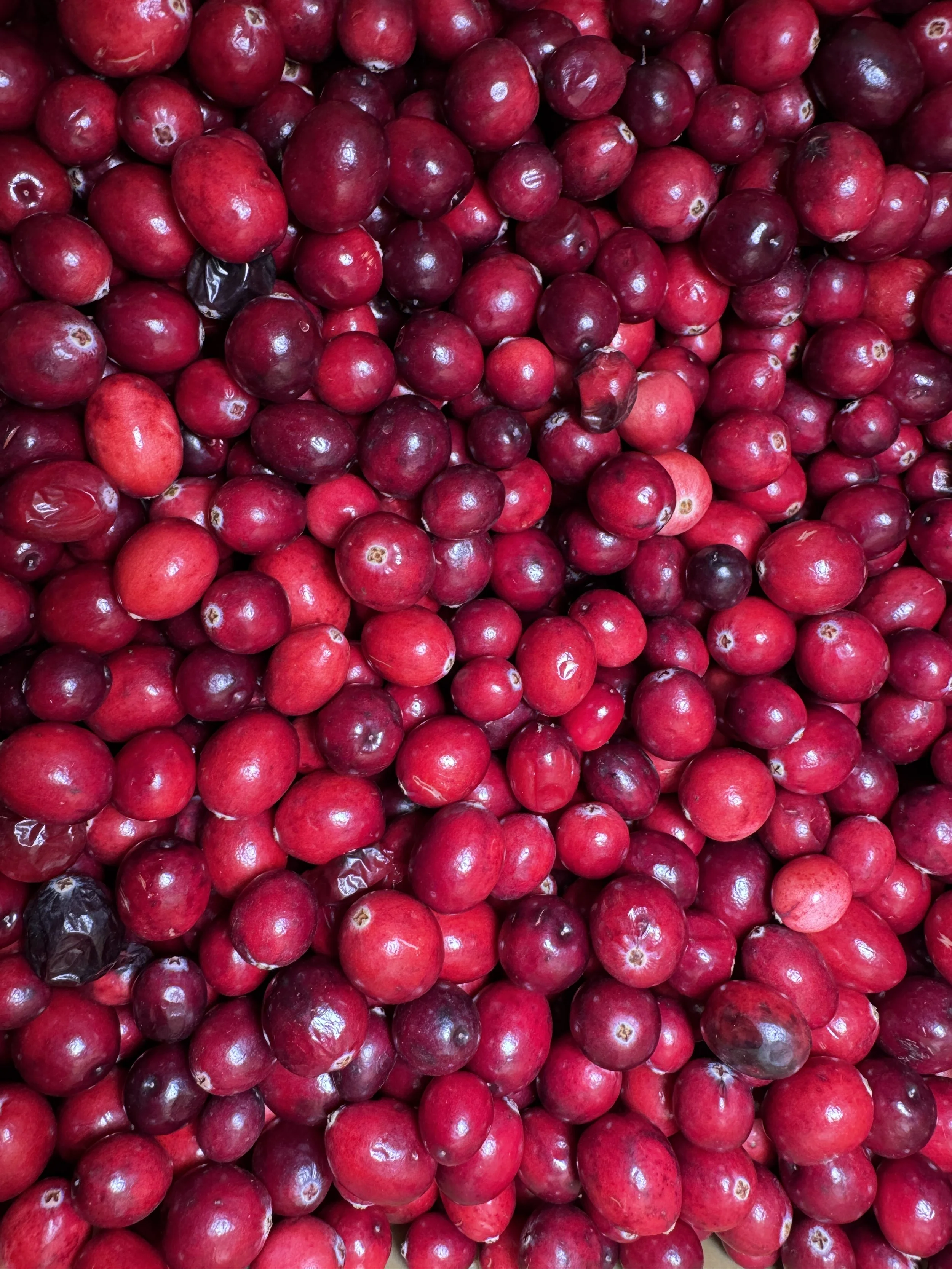 Cranberries