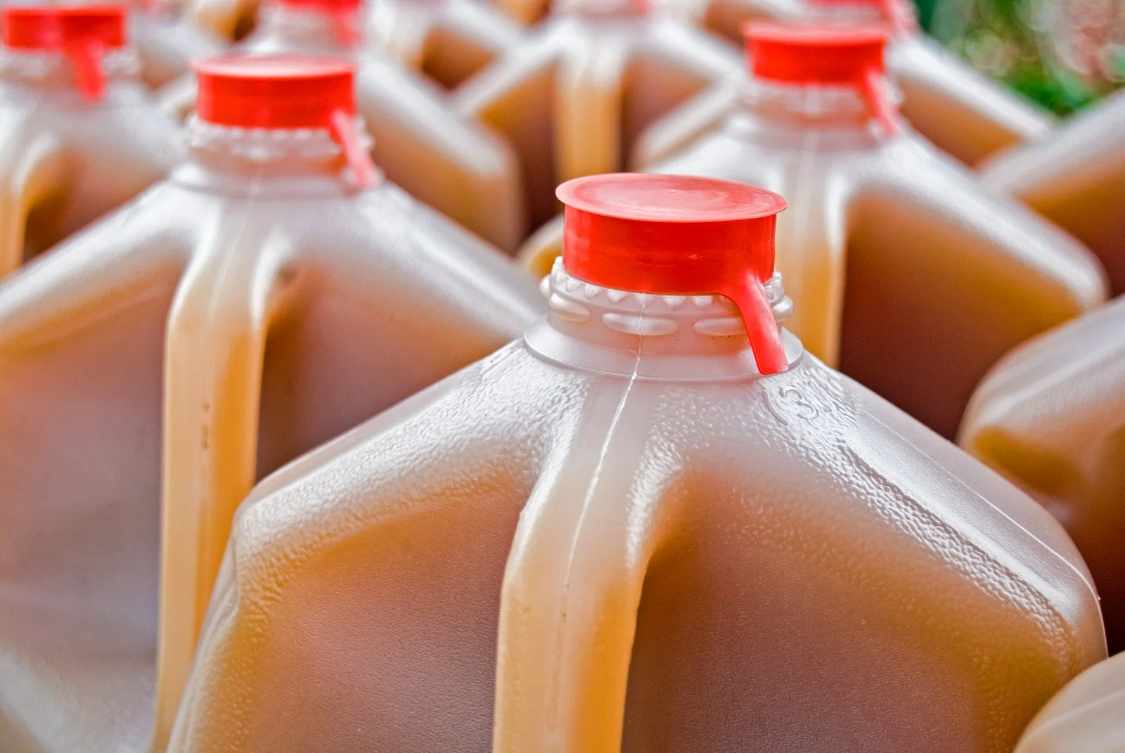 Apple Cider