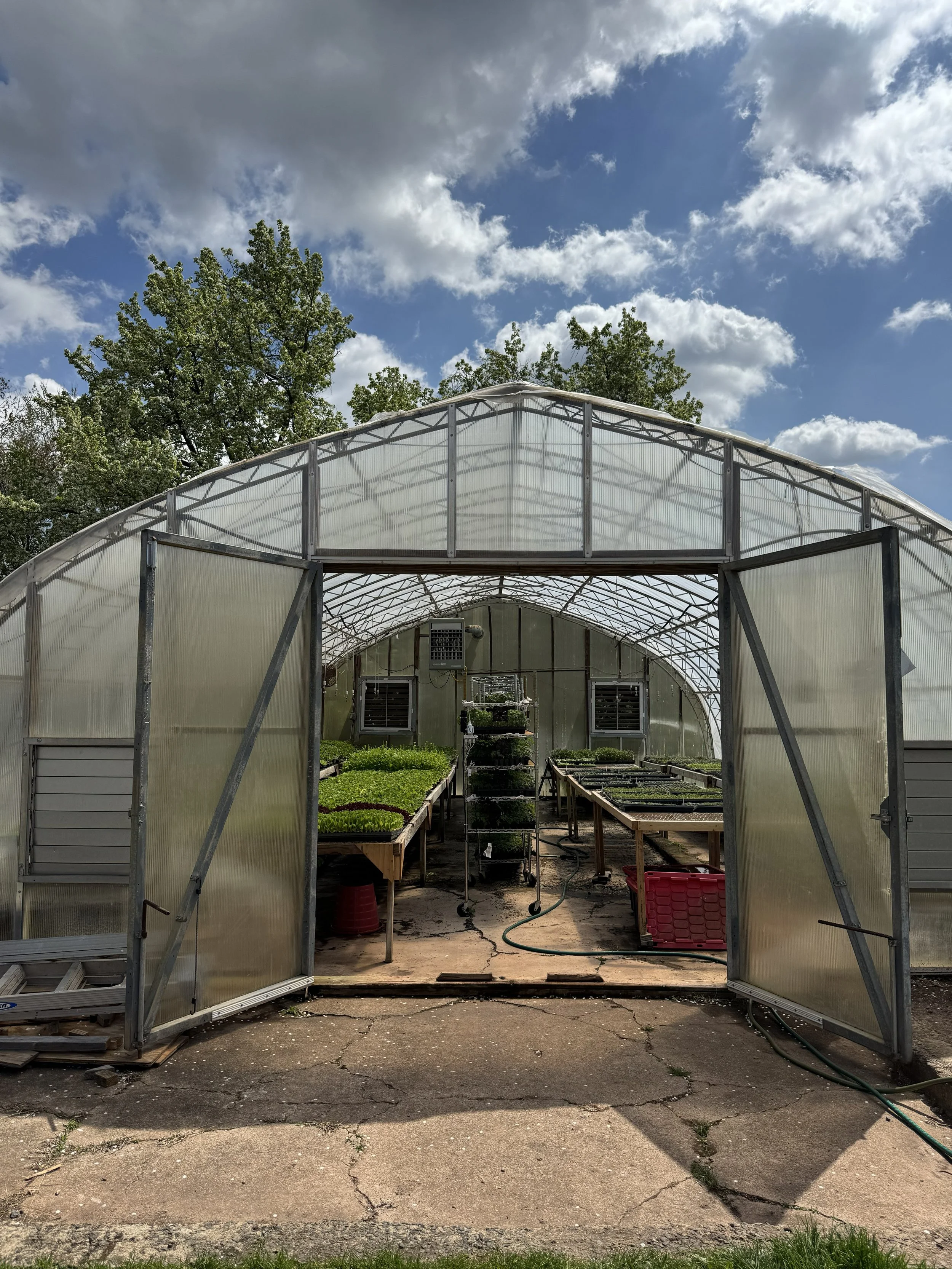20250422greenhouse.jpg
