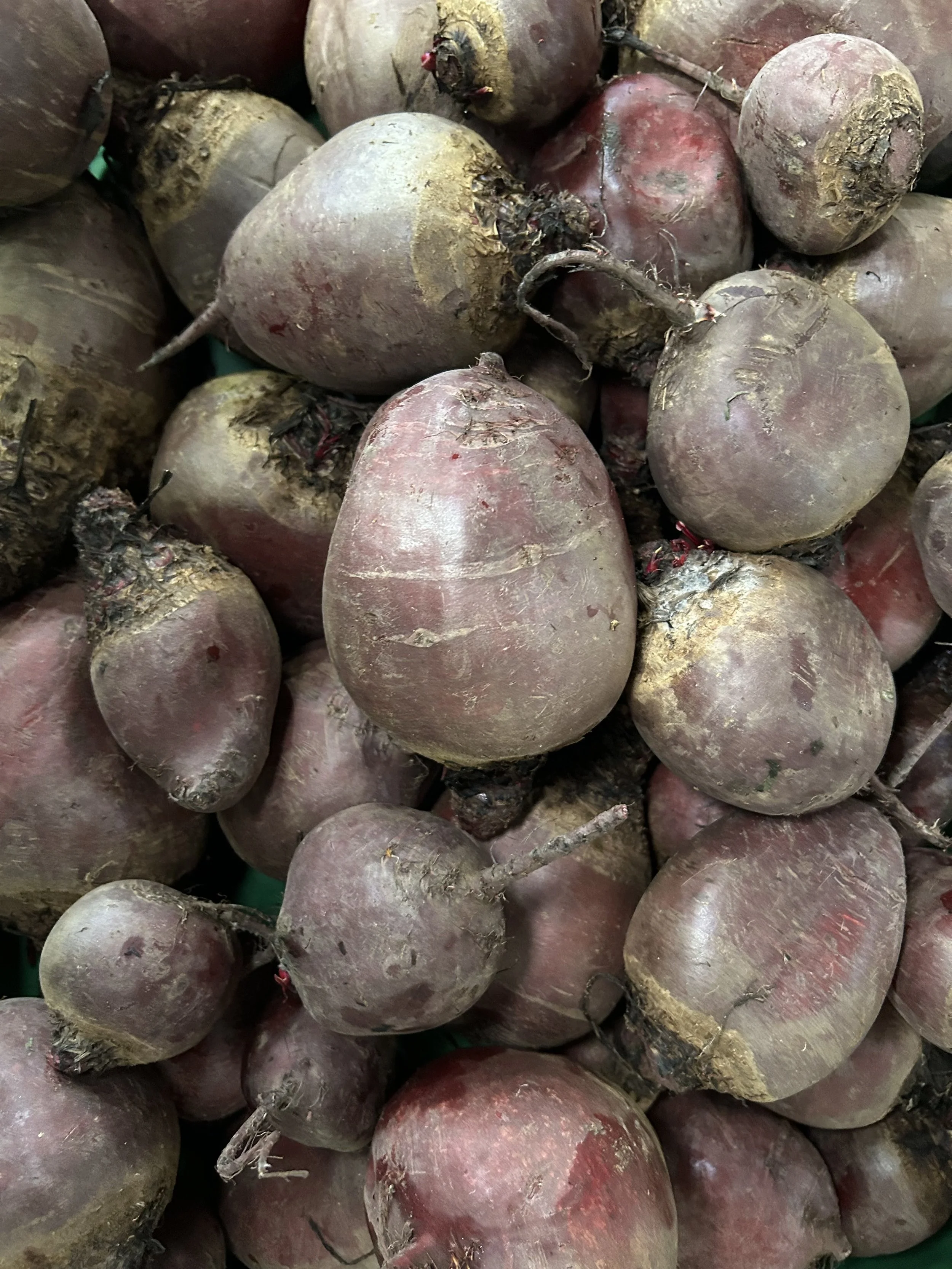 20251112redbeets.jpg