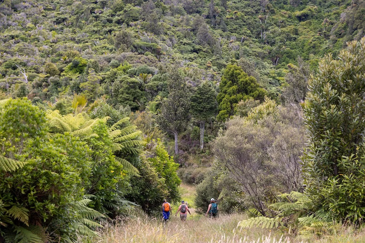 Essential Information For Your Trip to Nuku Walk!