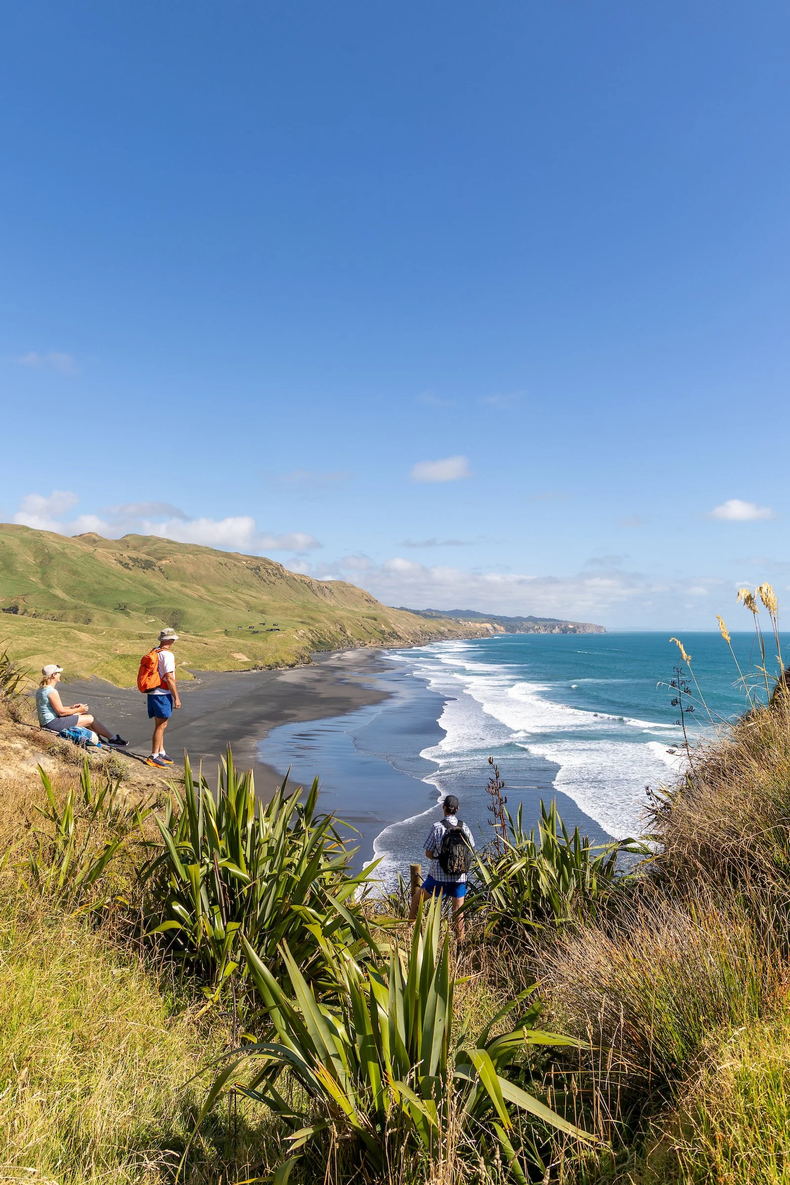 Person sitting on a wooden deck overlooking a scenic view of a black sand beach and ocean, with cloudy skies and grassy cliffs in the background.