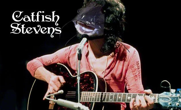 Catfish Stevens.jpg