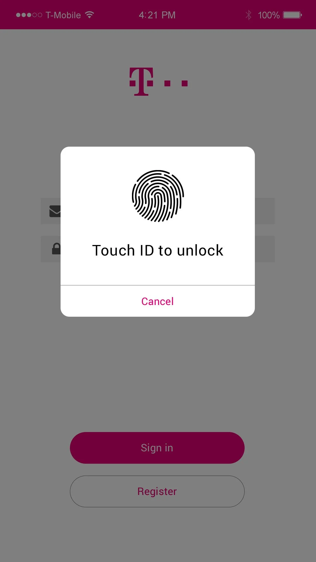 01_TMO_LittleWing_FingerPrint.jpg