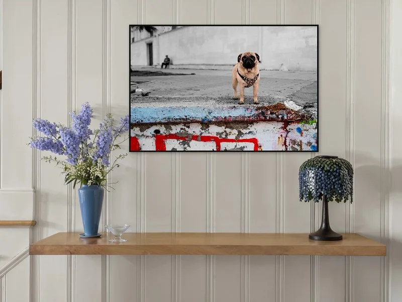 Tableau d'un chien pug portant un collier, affiché à l'intérieur d'une pièce, avec un vase de fleurs violettes à gauche et une lampe décorative à droite.