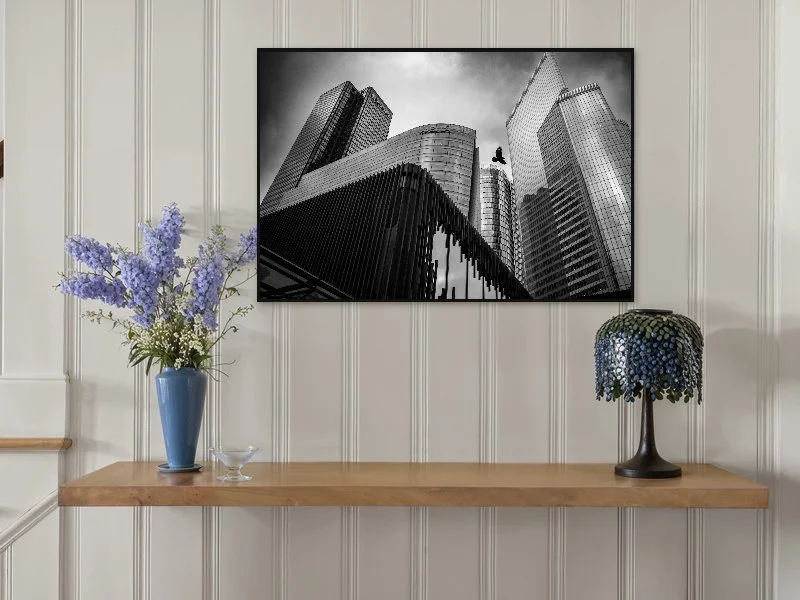 fly__fine-art__40x60.jpg