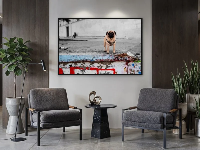 Salle d'attente avec deux fauteuils gris, une table noire au centre, et des plantes en pot à gauche et à droite, avec une toile de chien sur le mur.