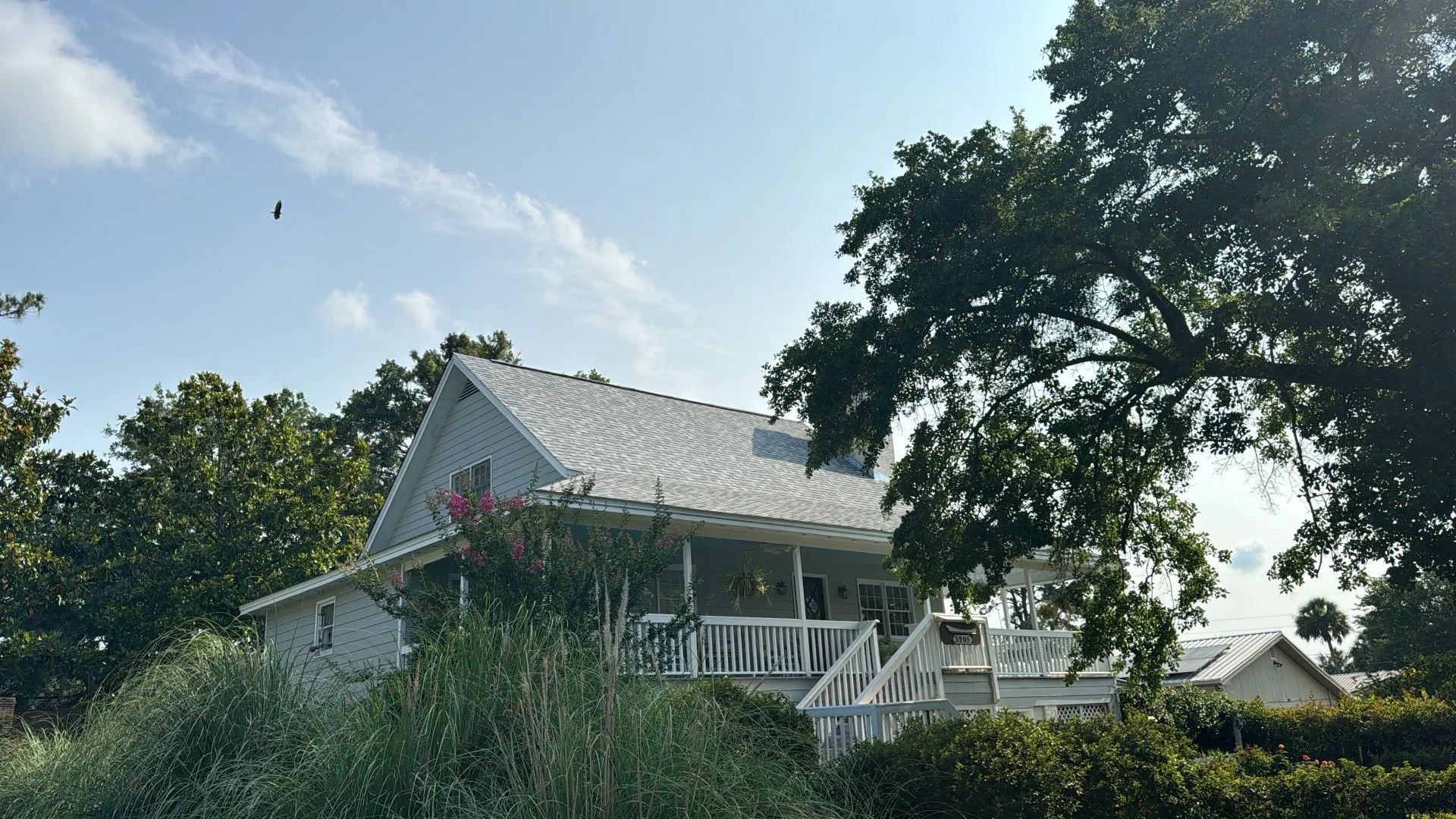 2025-06-03 14_37_52Z (2).jpeg