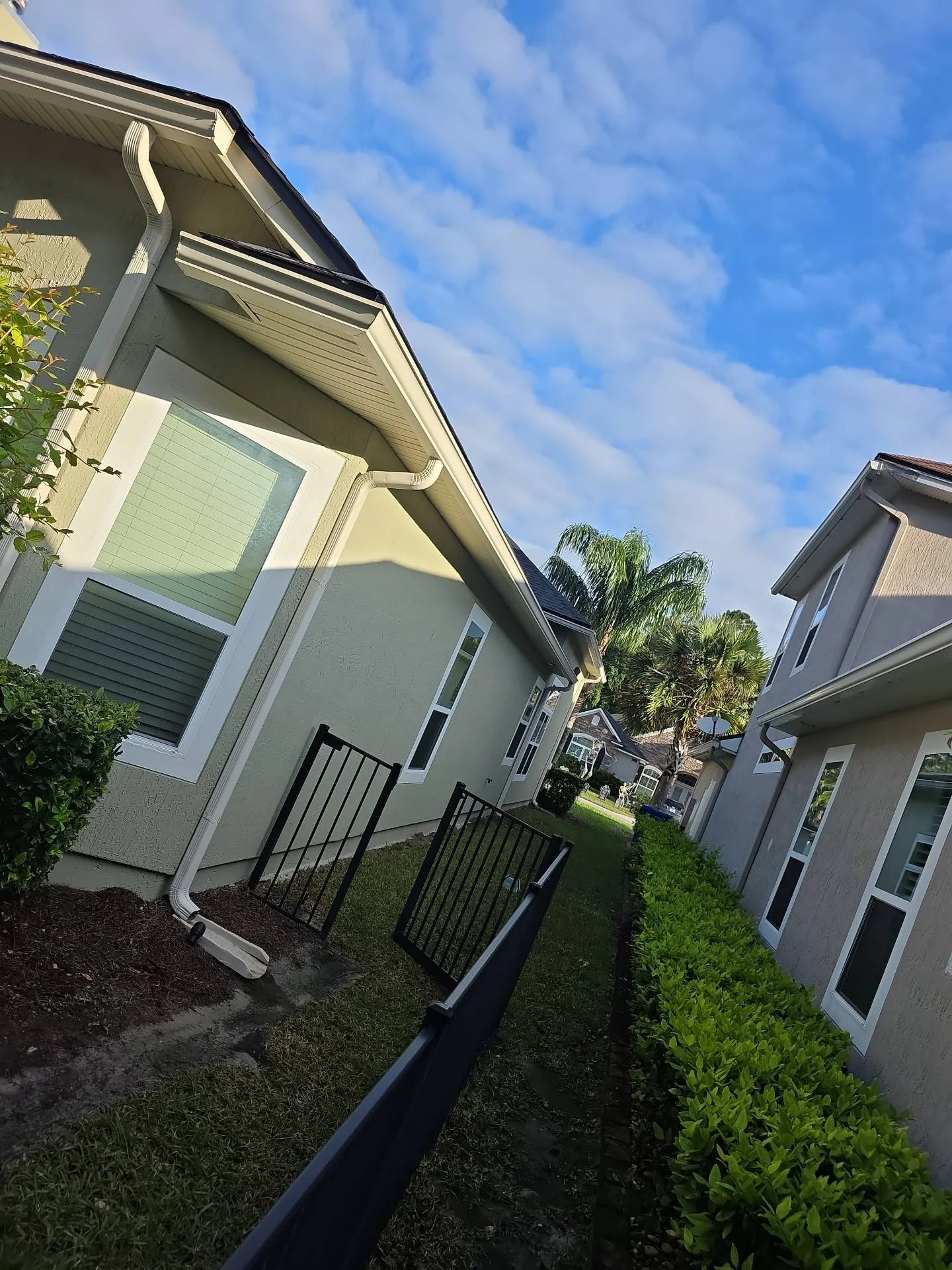 10_29_25, 09_15_55 AM.jpeg