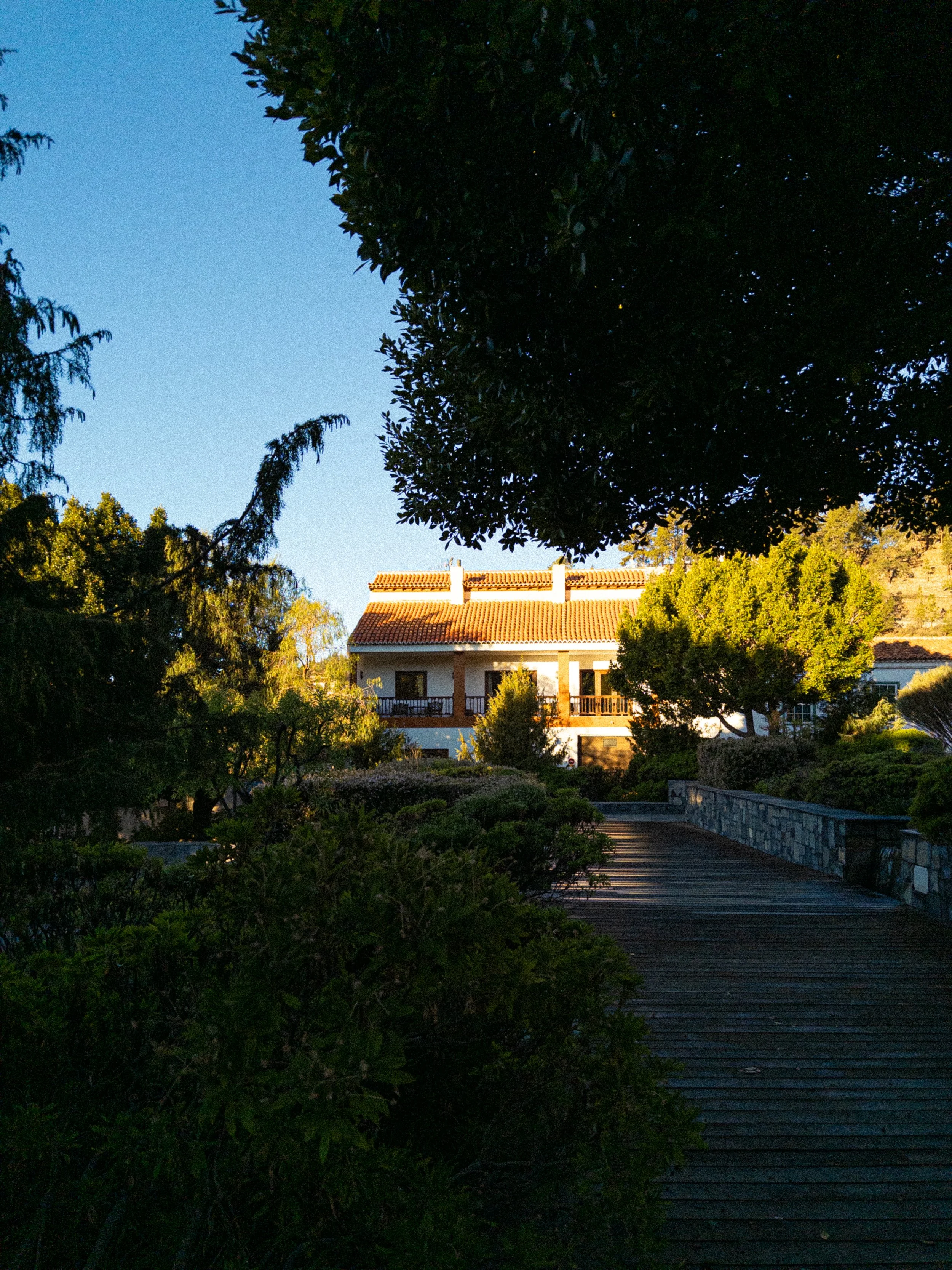 Not a cloud in the sky, as I happened to be staying above them